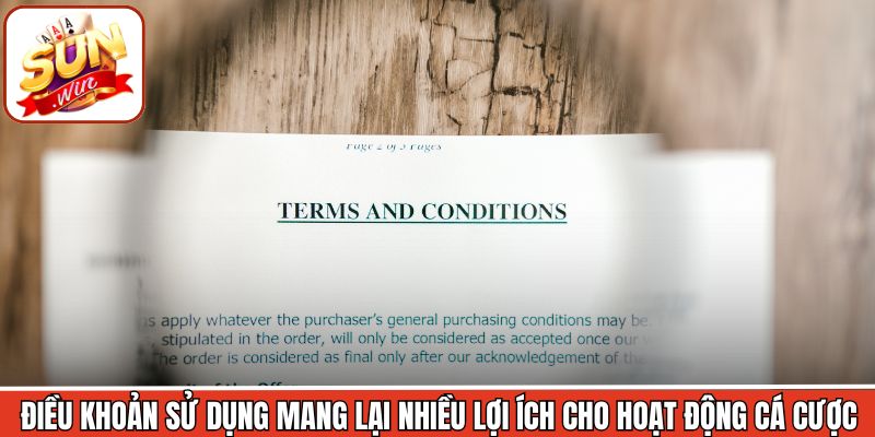 Điều khoản sử dụng mang lại nhiều lợi ích cho hoạt động cá cược